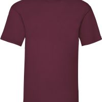 PS SC221 BURGUNDY