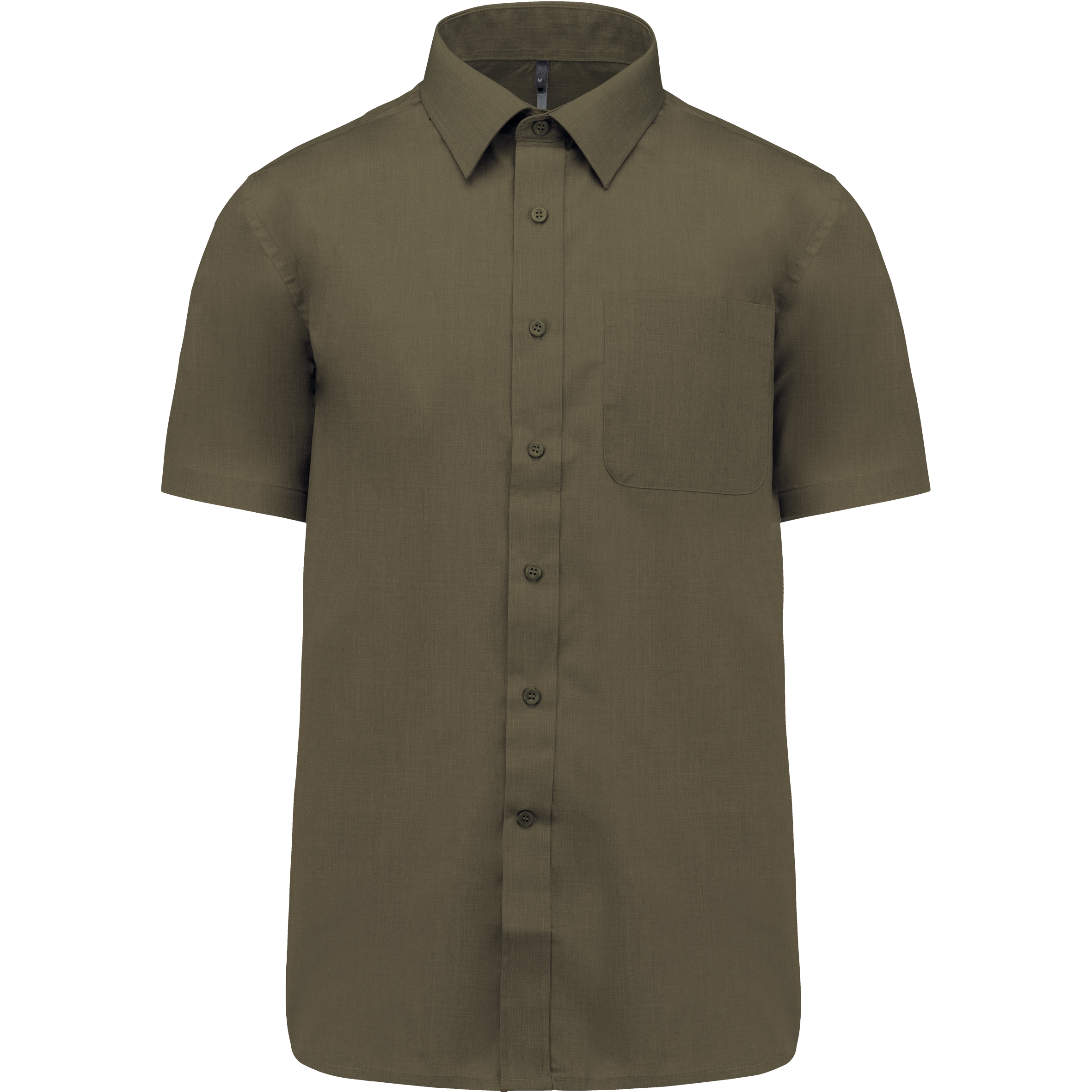 Light Khaki